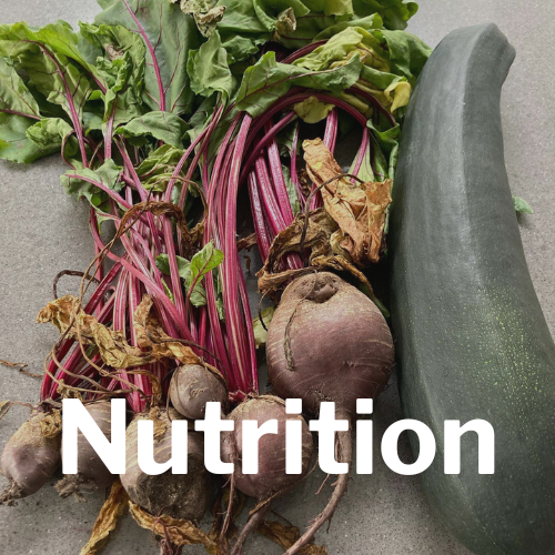 Katie Wheater Wellbeing Nutrition for Women